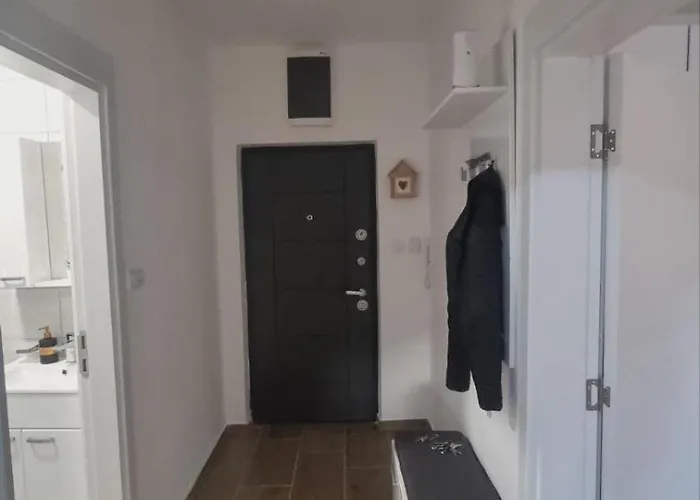 Djordjevic * סוקו בניה